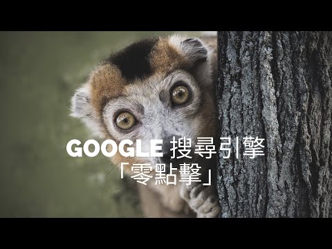 什麼是 Google 搜尋引擎「零點擊」？ 12% 的內容是「精選摘要」導致零點擊