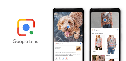 Google lens 可以幫你選擇搜尋文字、圖片、自動、或者找餐廳