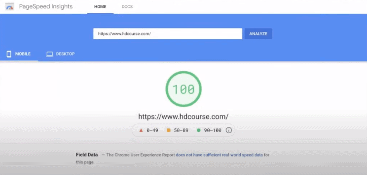 真實測試：Google PageSpeed 分數由 23 分提升到 100 分