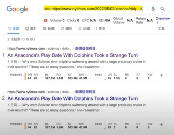 紐約時報沒有忽略 Google Indexing