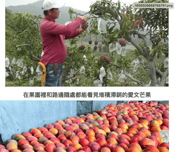 向(疑似)騙徒學習寫網店銷售頁 向(疑似)騙徒學習寫網店銷售頁